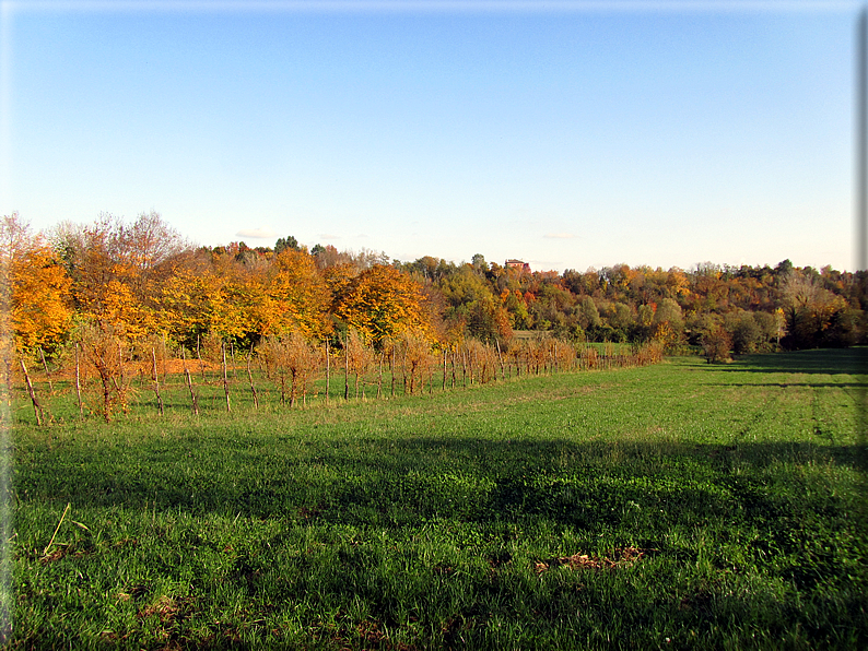 foto Paesaggi Autunnali tra le colline Fontesi